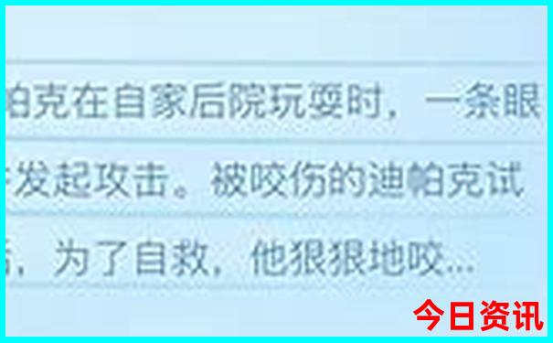 满城有什么好玩的景点